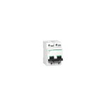 Schneider electric - disjoncteur c120h 2p 80 a, courbe b, 15 ka - a9n18413