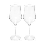 Secret de gourmet - lot de 2 verres  dgustation 'rhne' 74cl transparent