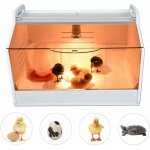Incubateur  couveuse pour poussins - avec thermomtre et lampe - pour volailles, reptiles et petits ...