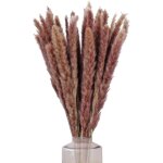 Serbia - 30pcs herbes de la pampas sechees decoration 60cm bouquet fleurs s�ch�es natur deco brun phragmites ...