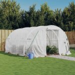 Serre avec cadre en acier blanc 12 m� 4x3x2 m vidaxl