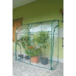Serre murale verdemax ?oleander? 200�100�h215 cm ? avec b�che transparente en pvc incluse