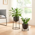 [en. casa] - set de 2 porte - plantes nesseby de tailles varies avec cache - pots mtal noir