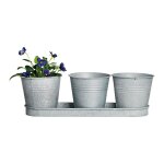 Esschert design - lot de 3 pots à fleurs avec soucoupe en zinc patiné - 11, 1 x 32, 8 x 10, 5 cm - gris ... Esschert design - lot de 3 pots à fleurs avec soucoupe en zinc patiné - 11, 1 x 32, 8 x 10, 5 cm - gris ...