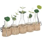 Set de 5 soliflores cosy en verre beige h29, 5cm atmosphera crateur d'intrieur