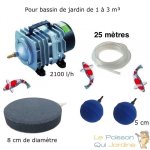 Le poisson qui jardine - set aerateur bassin 2 boules diffuseurs + 1 disque 8 cm bassin de jardin de ...