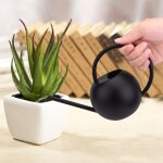 Shining house arrosoir plante int�rieur, 400ml arrosoir en acier inoxydable pour plantes d'int�rieur, ...