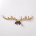 Shining house - d�coration murale cr�ative crochet en bois de cerf personnalit� de la maison t�te de ...