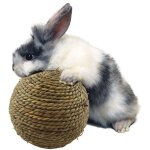 Shining house - petite pet chewing jouet - herbe naturelle boule dents nettoyage meulage jouets pour ...