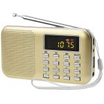 Shining house - poste radio portable, radio fm am piles et secteur, mp3, enceinte, support tf card / ...