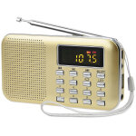 Shining house - poste radio portable, radio fm am piles et secteur, mp3, enceinte, support tf card / ...