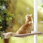 Cat bed : hamac de fentre pour chat