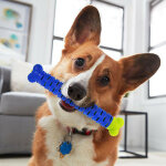 Chewbrush : l'os  mcher anti - tartre pour chien