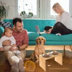 Gamelles surleves pour chien grande taille et chats, support surlev pour nourriture et eau, gamelles ...