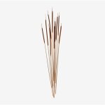 Sklum - lot de 10 branches s�ches d�coratives stoilan rouille