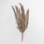 Sklum - lot de 6 branches s�ches d�coratives nereida brun bl�