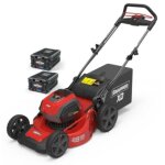 Tondeuse poussée snapper 46cm avec 2 batteries 2ah et chargeur rapide Tondeuse poussée snapper 46cm avec 2 batteries 2ah et chargeur rapide