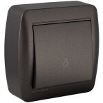 Bouton poussoir lumineux en saillie - noir graphite solera