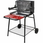Somagic - barbecue au charbon de bois avec foyer vertical raymond