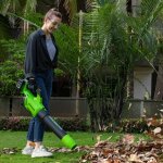 Greenworks tool - souffleur de feuilles sans fil greenworks gd24x2ab 48 v (sans batterie et chargeur) ...