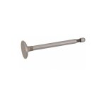 Soupape d'chappement briggs et stratton 262246 - 262246s