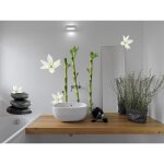Sticker autocollant dcoratif zen 68x48cm, photo tiges bambou, galets et orchides. dcorez votre intrieur ...
