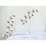 Sticker autocollant grand format 68 cm x 48 cm - photo de fleurs d'orchidées blanches et roses - décoration ... Sticker autocollant grand format 68 cm x 48 cm - photo de fleurs d'orchidées blanches et roses - décoration ...
