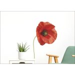 Sticker mural 3 fleurs coquelicots rouges, 68 cm x 24 cm, dcoration murale photo autocollant dcoratif ...