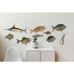Sticker mural poisson, d�coration autocollant, 48x68cm - ajoutez une touche de couleur � votre int�rieur ...