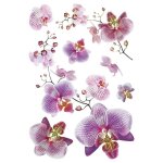 Sticker orchid�es roses et fushia - 1 planche 42, 5 x 65 cm