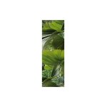 Plage - sticker rfrigrateur feuilles vertes des tropiques, 59, 5 cm x 180 cm, dco intrieure maison ...