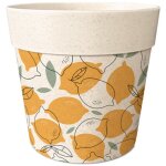 Cache - pot en bambou motif citrons 8 cm