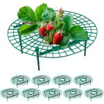 Support pour fraises, lot de 10, protection contre pourriture, limaces, pour fraisier, plastique, vert ... Support pour fraises, lot de 10, protection contre pourriture, limaces, pour fraisier, plastique, vert ...