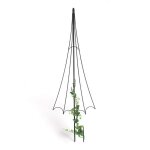 Supports de plantes grimpantes jardin m�tal noir parapluie treillis fleurs plantes grimpantes roses piquets ...