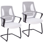 Svita - delta lot de 2 chaises visiteurs chaise de conf�rence � pi�tement luge accoudoirs blanc