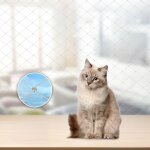 Filet de protection pour chat filet pour chats grille filets de scurit filet de protection pour chats ...