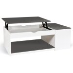 Idmarket - table basse plateau relevable rectangulaire elea avec coffre bois blanc et gris Idmarket - table basse plateau relevable rectangulaire elea avec coffre bois blanc et gris