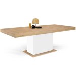 Idmarket - table  manger extensible rectangle eden 6 - 10 personnes bois et blanc 160 - 200 cm