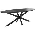 Rendez - vous dco - table ovale 8 personnes en bois de teck recycl noir 220 cm - sparo