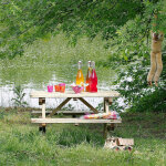 Cmonjardin - table de pique - nique pour enfant en bois chinchilla 4 places