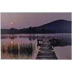 Tableau avec 7 led cr�puscule sur jet�e 60 x 40, 2 piles aa led pictures - jandei