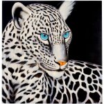 [jamais utilis] tableau  l'huile, lopard blanc, peint  la main  100%, toile de dcoration murale ...