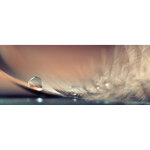 Tableau nature bleu et orange pour salon | tableau sur toile plume et goutte d'eau | tableau d�coratif ...