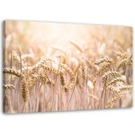 Tableau sur toile champ de c�r�ales �pis de bl� nature 90x60