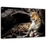 Tableau sur toile l�opard animaux rocher 90x60