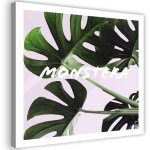 Tableau sur toile monstera feuilles exotiques 50x50