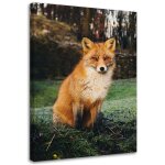 Tableau sur toile renard for�t nature animaux 40x60