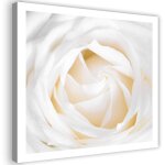 Tableau sur toile rose blanche d�licate 40x40