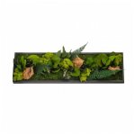 Naturalys - tableau vgtal canopee panoramic 70 x 20 cm