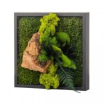 Tableau vgtal mural stabilis 22cm noir